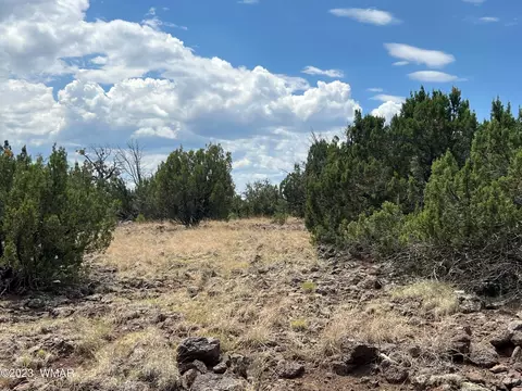 003 Comanche Dr # A, Concho, AZ 85924 photo 2