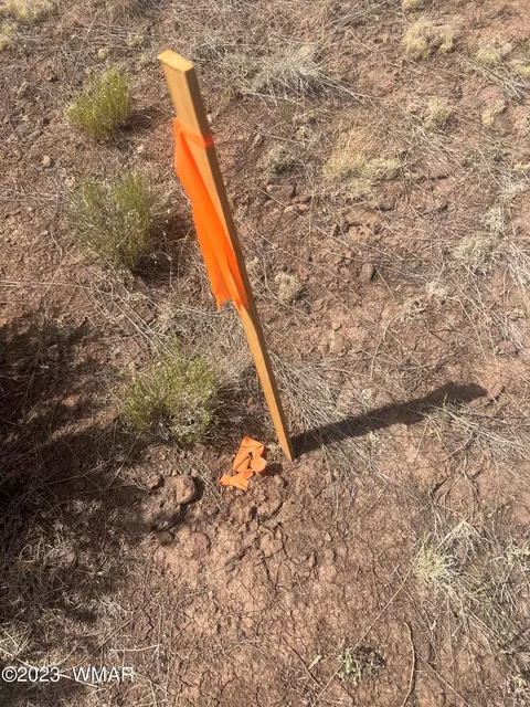 003 Comanche Dr # b, Concho, AZ 85924 photo 5