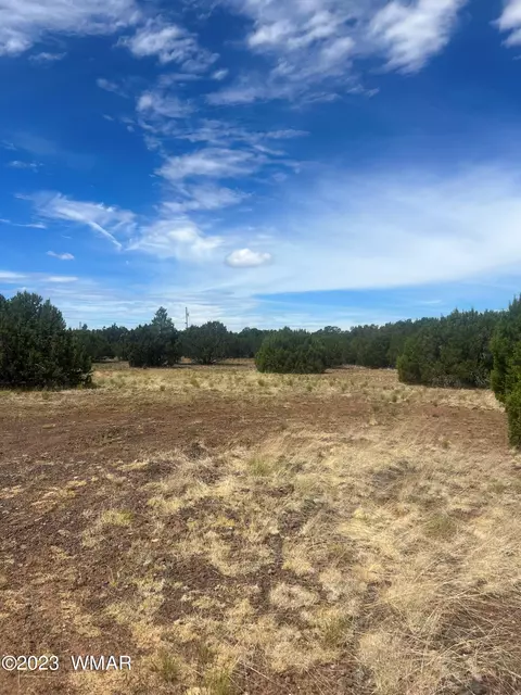 003 Comanche Dr # b, Concho, AZ 85924 photo 8