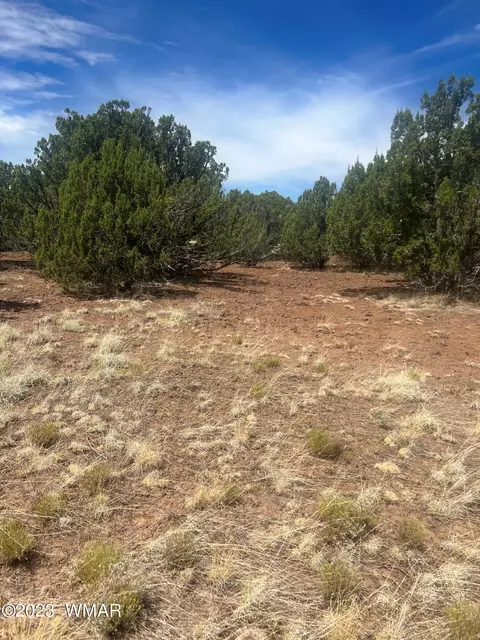 003 Comanche Dr # b, Concho, AZ 85924 photo 7