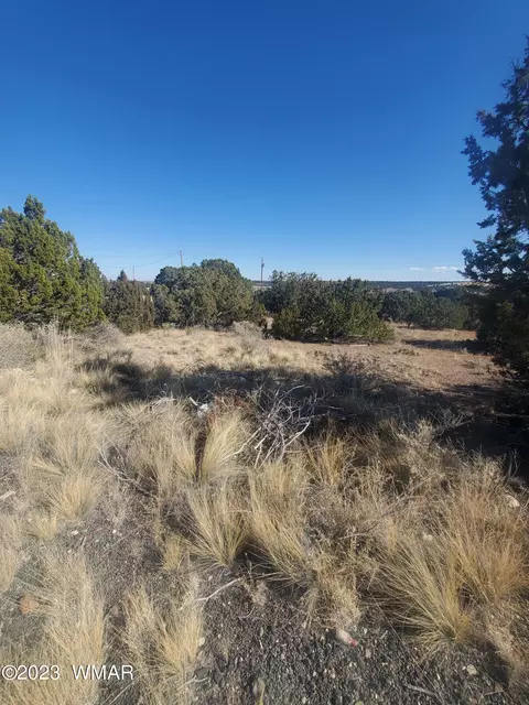 003 Comanche Dr # b, Concho, AZ 85924