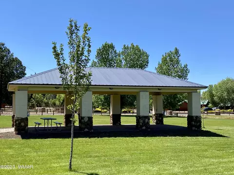 Undisclosed, Overgaard, AZ 85933 photo 28