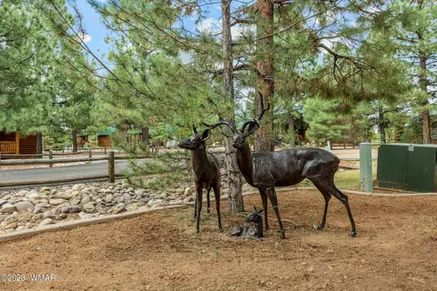 Undisclosed, Overgaard, AZ 85933 photo 23
