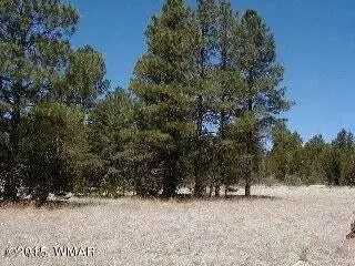3120 3122 Whitetail Way, Overgaard, AZ 85933