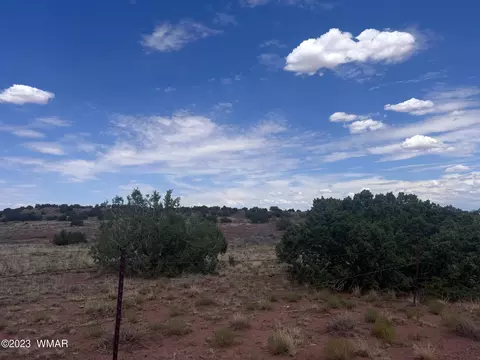 3865 County Line Rd, Snowflake, AZ 85937 photo 21