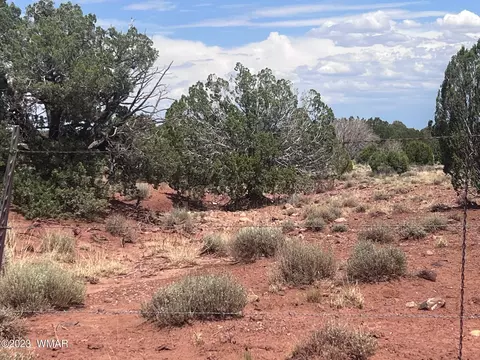 3865 County Line Rd, Snowflake, AZ 85937 photo 29