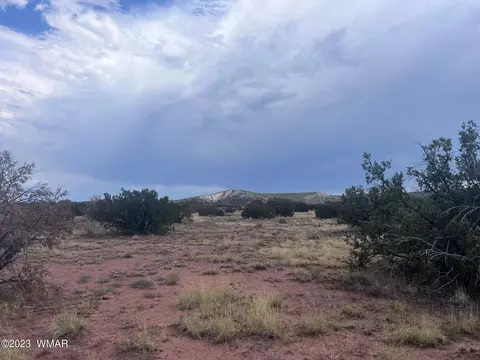 3865 County Line Rd, Snowflake, AZ 85937 photo 8