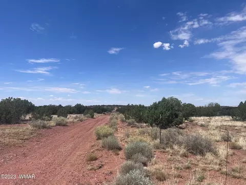 3865 County Line Rd, Snowflake, AZ 85937 photo 5