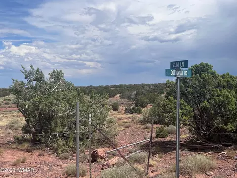 3865 County Line Rd, Snowflake, AZ 85937 photo 32
