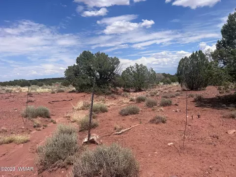 3865 County Line Rd, Snowflake, AZ 85937 photo 28