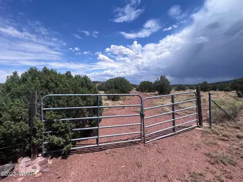 3865 County Line Rd, Snowflake, AZ 85937 photo 2