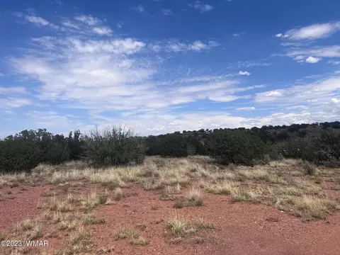 3865 County Line Rd, Snowflake, AZ 85937 photo 7