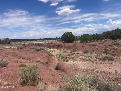3865 County Line Rd, Snowflake, AZ 85937 photo 24
