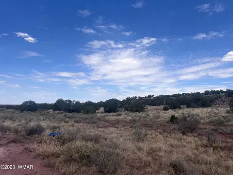 3865 County Line Rd, Snowflake, AZ 85937 photo 13