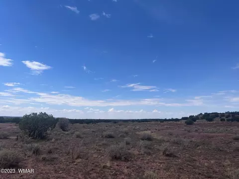 3865 County Line Rd, Snowflake, AZ 85937 photo 23