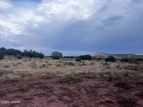 3865 County Line Rd, Snowflake, AZ 85937 photo 16