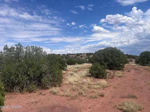 3865 County Line Rd, Snowflake, AZ 85937 photo 3