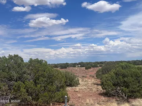 3865 County Line Rd, Snowflake, AZ 85937 photo 27