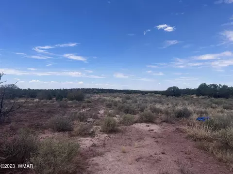 3865 County Line Rd, Snowflake, AZ 85937 photo 12