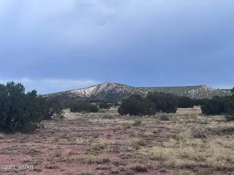 3865 County Line Rd, Snowflake, AZ 85937