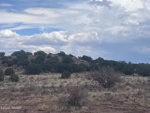 3865 County Line Rd, Snowflake, AZ 85937 photo 9