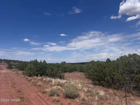 3865 County Line Rd, Snowflake, AZ 85937 photo 25