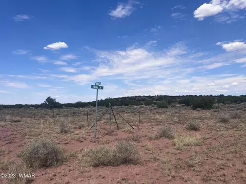 3865 County Line Rd, Snowflake, AZ 85937 photo 19
