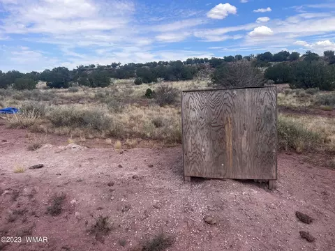 3865 County Line Rd, Snowflake, AZ 85937 photo 14