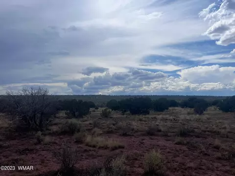 3865 County Line Rd, Snowflake, AZ 85937 photo 18