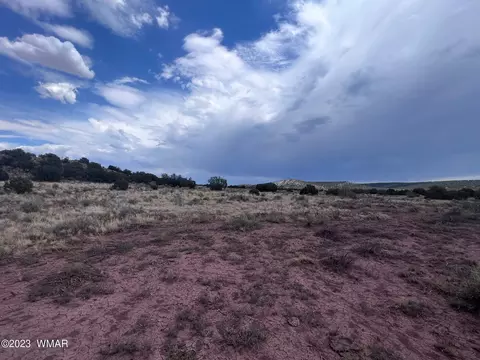 3865 County Line Rd, Snowflake, AZ 85937 photo 15