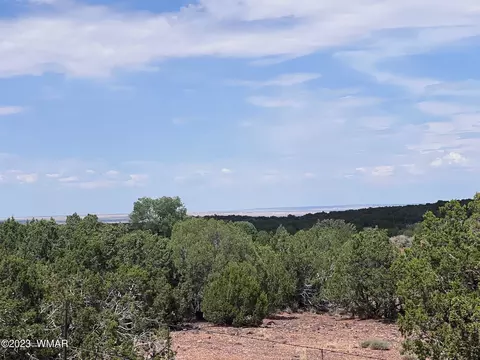 3865 County Line Rd, Snowflake, AZ 85937 photo 26