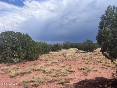 3865 County Line Rd, Snowflake, AZ 85937 photo 6