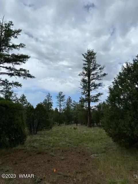 4892 Bison Trl, Lakeside, AZ 85929