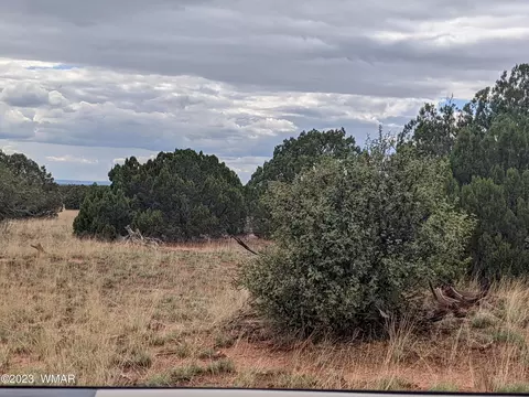 tbd Lots 141 142 Show Low Pnes, Concho, AZ 85924