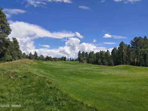 1161 S Vine Maple Ln, Show Low, AZ 85901