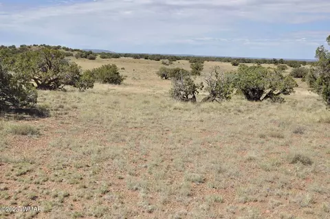 284 Cr 5390, Concho, AZ 85924