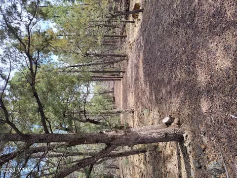 tbd Zola Rd, Lakeside, AZ 85929