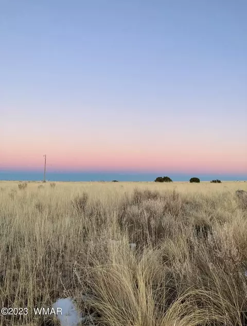 20 Sneed, Concho Valley, AZ 85924