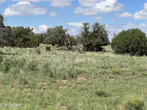tbd N9033, Concho, AZ 85924