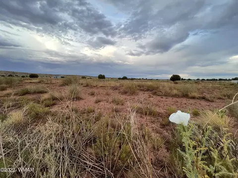 tbd N Peach Blossom Ln, Snowflake, AZ 85937