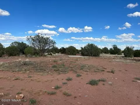 18 N5540, Concho, AZ 85924 photo 18
