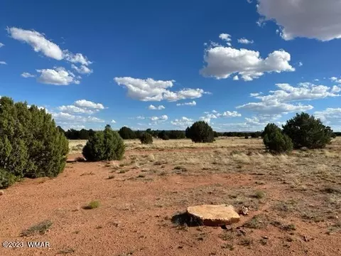 18 N5540, Concho, AZ 85924 photo 20