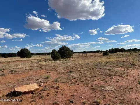18 N5540, Concho, AZ 85924 photo 19