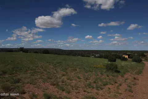 17 County Rd, Concho, AZ 85924 photo 14