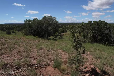 17 County Rd, Concho, AZ 85924 photo 23