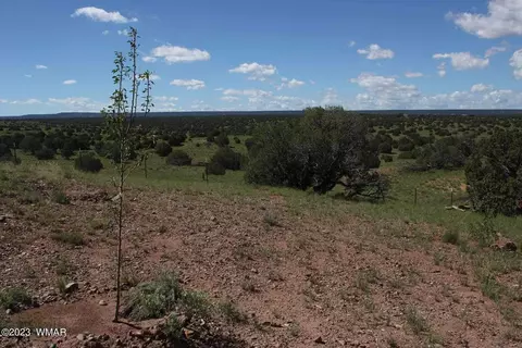 17 County Rd, Concho, AZ 85924 photo 22
