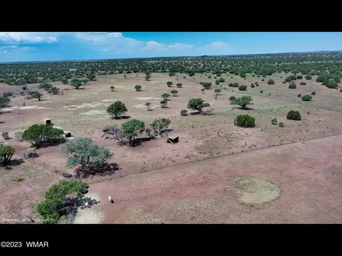17 County Rd, Concho, AZ 85924 photo 38