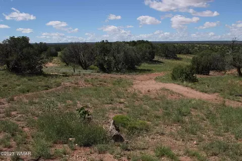 17 County Rd, Concho, AZ 85924 photo 20