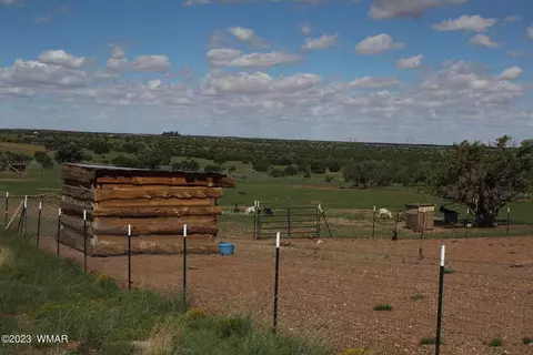 17 County Rd, Concho, AZ 85924 photo 9