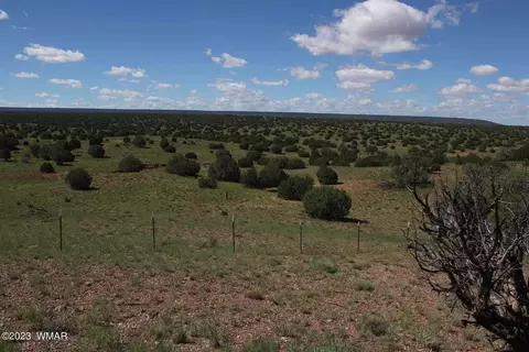 17 County Rd, Concho, AZ 85924 photo 21